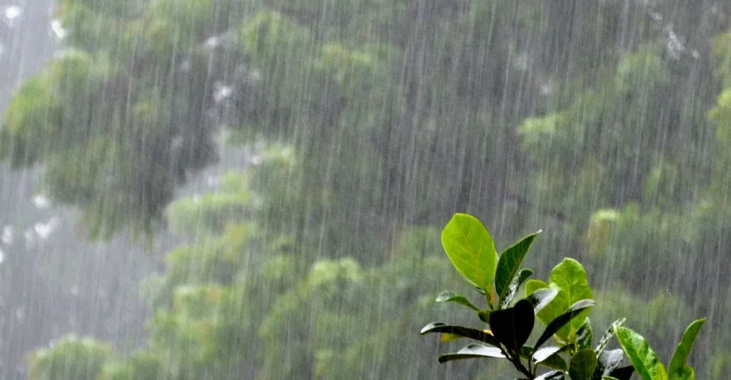 Himachal Weather : प्रदेश में 18 से बदलेगा मौसम, 21 जून तक बारिश