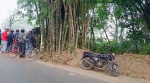 Himachal Accident: जयसिंहपुर-लंबागांव मार्ग पर पेड़ से टकराई कार, जवाली के युवक की मौत