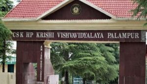 राष्ट्रीय रैंकिंग में कृषि विश्वविद्यालय पालमपुर की धाक; पाया आठवां स्थान, अब तक का सबसे बेहतर प्रदर्शन