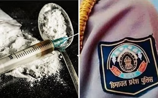 शिमला पुलिस ने तोड़ा चिट्टा तस्करी का रैकेट, दो आरोपी गिरफ्तार - Divya  Himachal